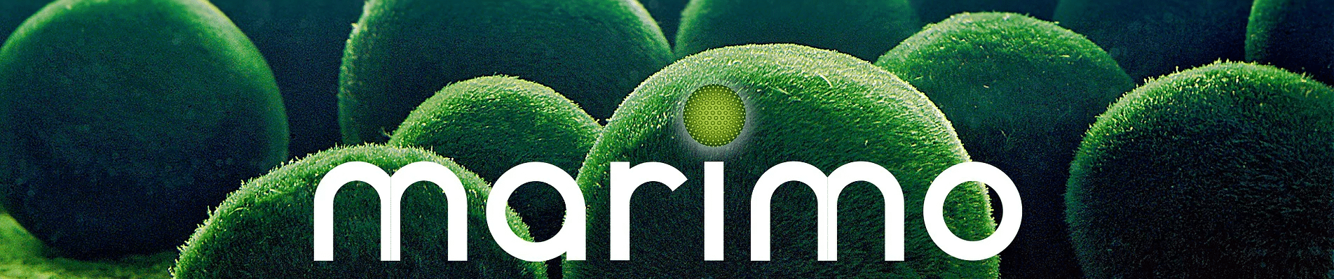 marimo